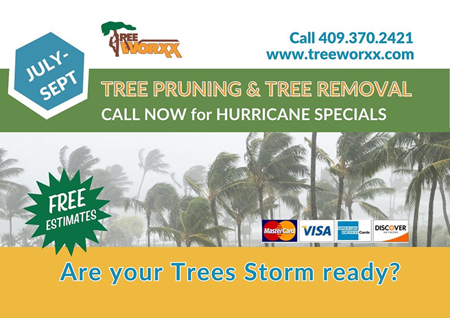 Are your Trees Storm ready? Call Tree Worxx for tree pruning and tree removal specials for hurricane season.