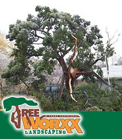 hurricane tree removal, pre storm, hurricane, safety, emergency, tips, 5 helpful tips for preparing for storms in houston, texas
