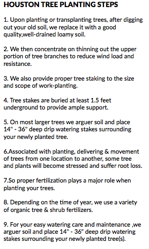 HOUSTON TREE PLANTING STEPS 1. Upon planting or transplanting trees, after digging out your old soil, we replace it with a good quality,well-drained loamy soil. 2. We then concentrate on thinning out the upper portion of tree branches to reduce wind load and resistance. 3. We also provide proper tree staking to the size and scope of work-planting. 4. Tree stakes are buried at least 1.5 feet underground to provide ample support. 5. On most larger trees we arguer soil and place 14" - 36" deep drip watering stakes surrounding your newly planted tree. 6.Associated with planting, delivering & movement of trees from one location to another, some tree and plants will become stressed and suffer root loss. 7.So proper fertilization plays a major role when planting your trees. 8. Depending on the time of year, we use a variety of organic tree & shrub fertilizers. 9. For your easy watering care and maintenance ,we arguer soil and place 14" - 36" deep drip watering stakes surrounding your newly planted tree(s).