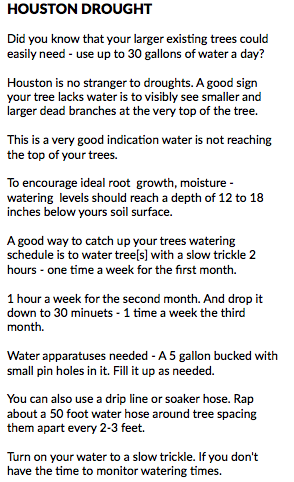 HOUSTON DROUGHT Did you know that your larger existing trees could easily need - use up to 30 gallons of water a day? Houston is no stranger to droughts. A good sign your tree lacks water is to visibly see smaller and larger dead branches at the very top of the tree. This is a very good indication water is not reaching the top of your trees. To encourage ideal root growth, moisture - watering levels should reach a depth of 12 to 18 inches below yours soil surface. A good way to catch up your trees watering schedule is to water tree[s] with a slow trickle 2 hours - one time a week for the first month. 1 hour a week for the second month. And drop it down to 30 minuets - 1 time a week the third month. Water apparatuses needed - A 5 gallon bucked with small pin holes in it. Fill it up as needed. You can also use a drip line or soaker hose. Rap about a 50 foot water hose around tree spacing them apart every 2-3 feet. Turn on your water to a slow trickle. If you don't have the time to monitor watering times.