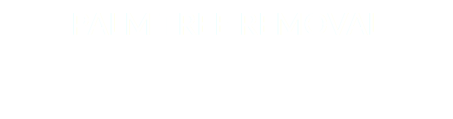 PALM TREE REMOVAL